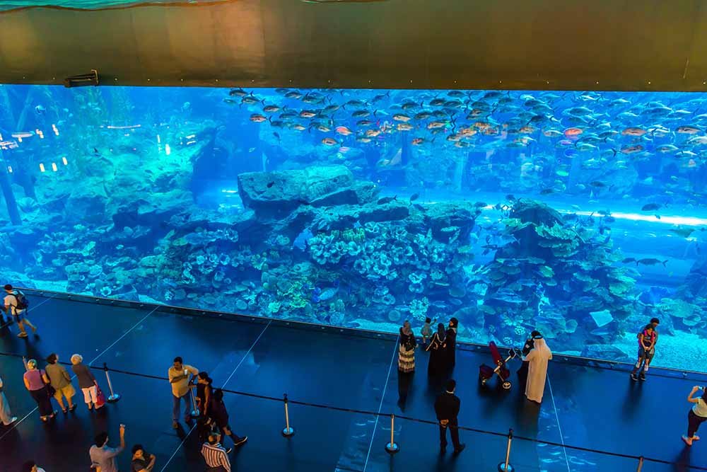dubai aquarium