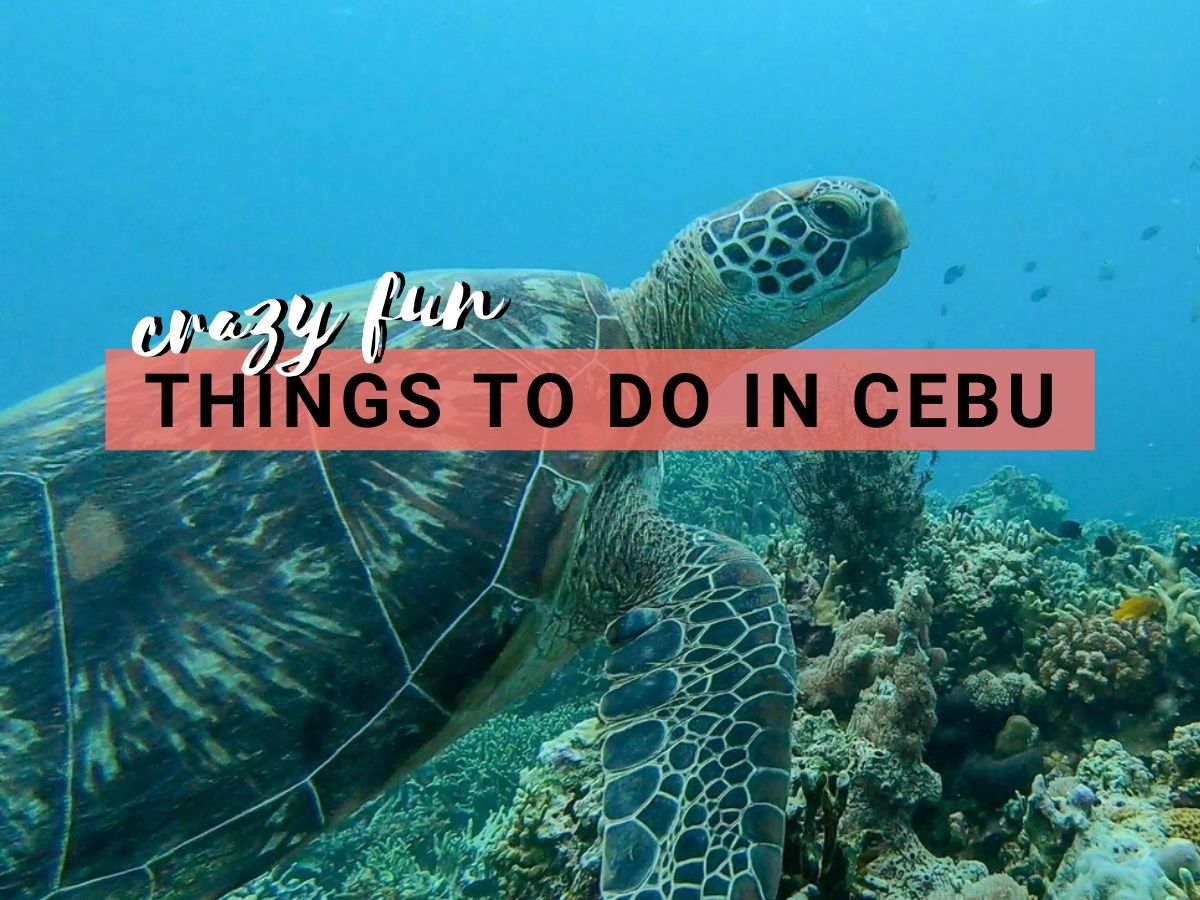things to do in Cebu