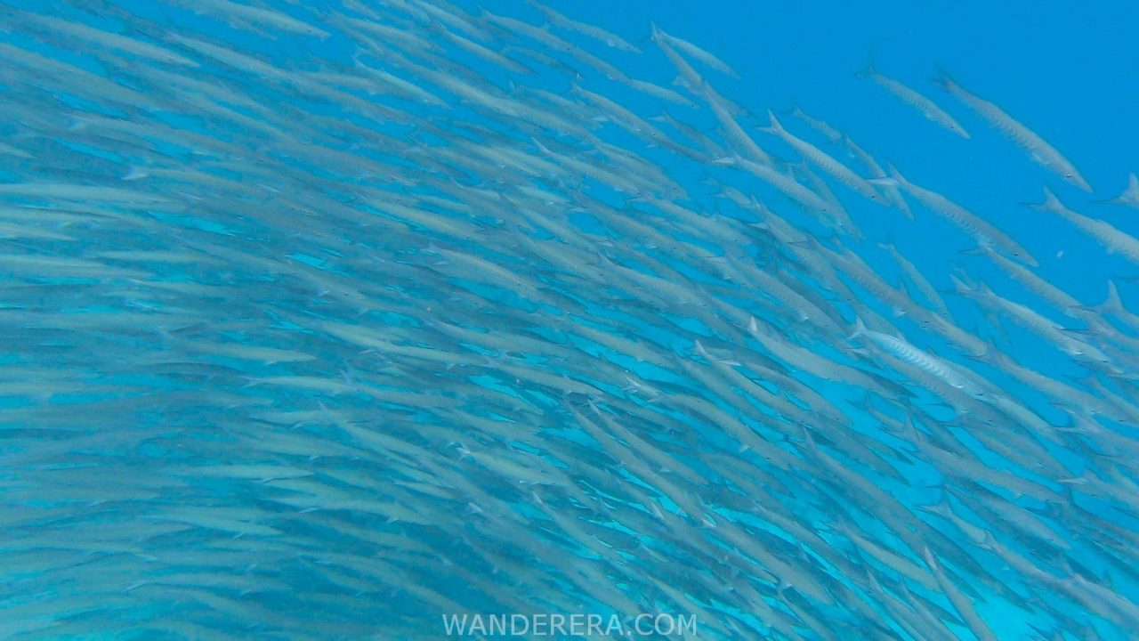 Tulapos Marine Sanctuary