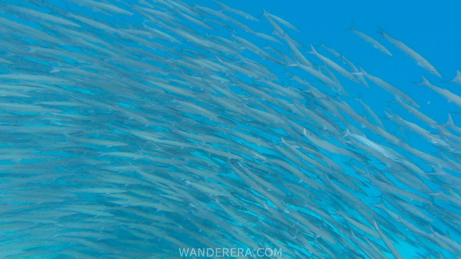 Tulapos Marine Sanctuary