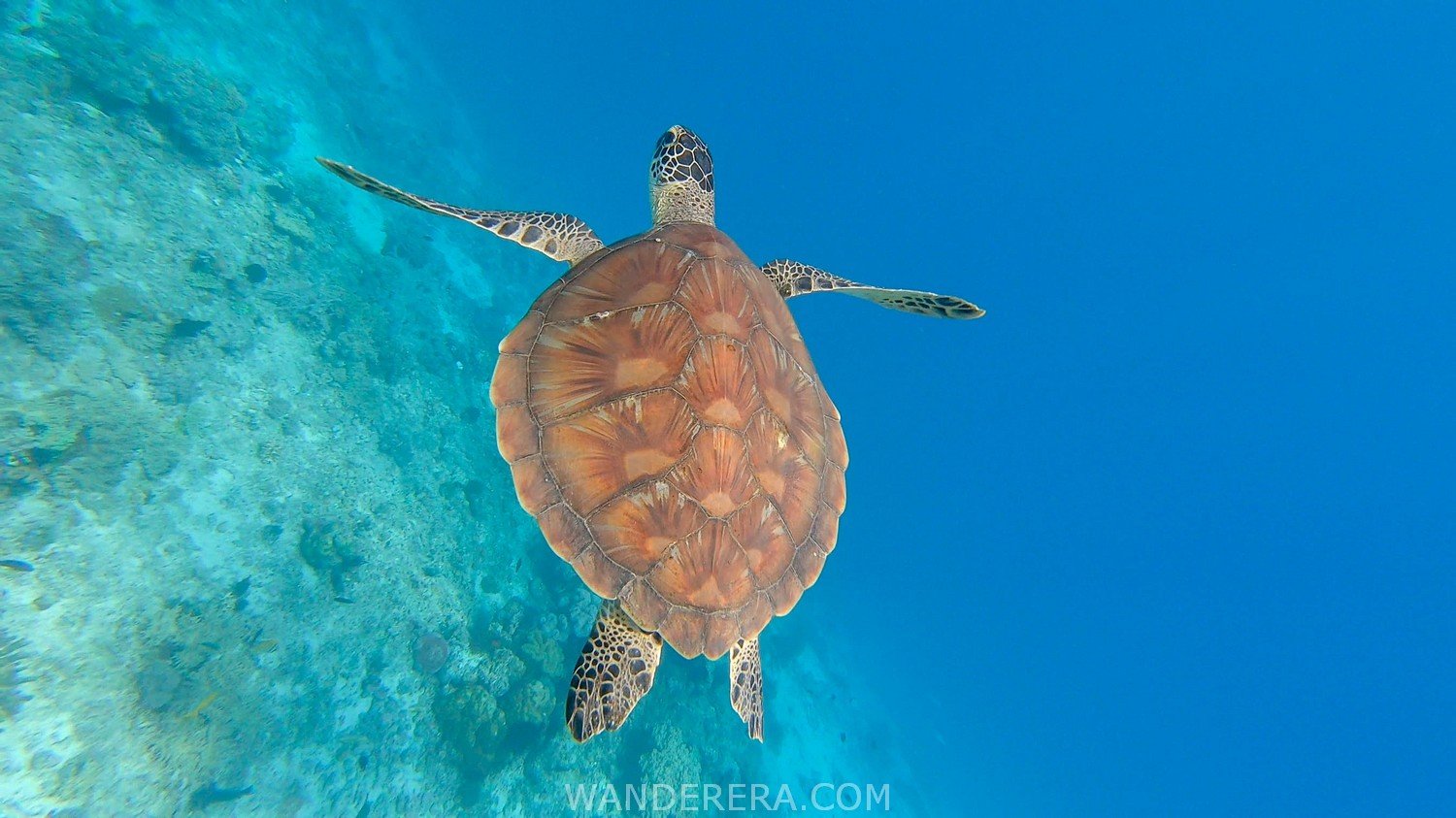 Tulapos Marine Sanctuary