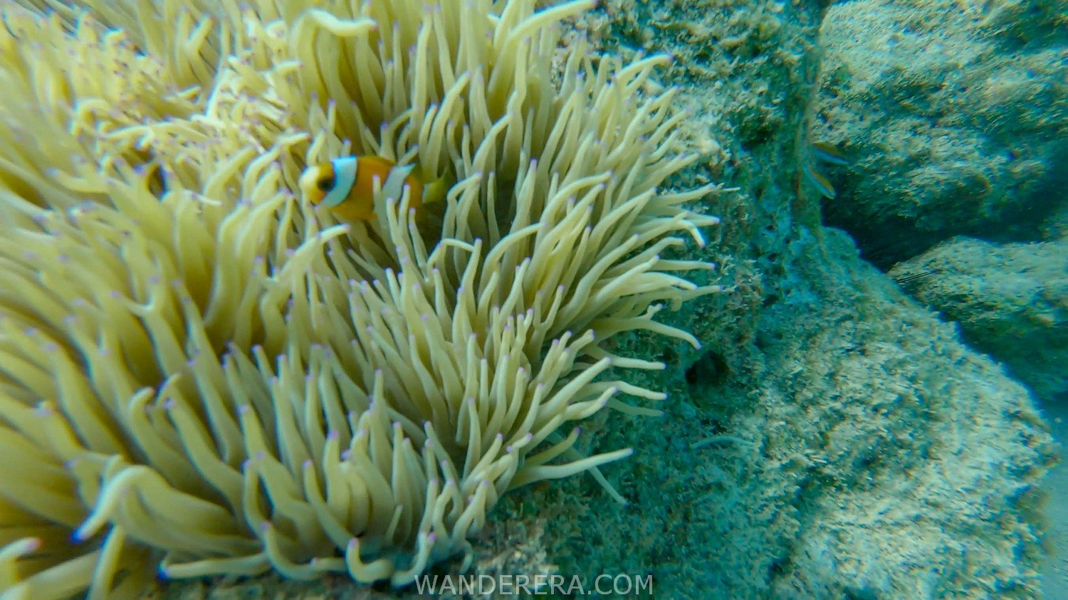 Tulapos Marine Sanctuary-11