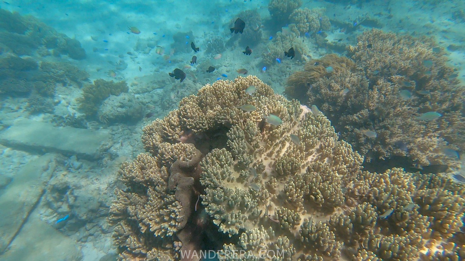 Tulapos Marine Sanctuary