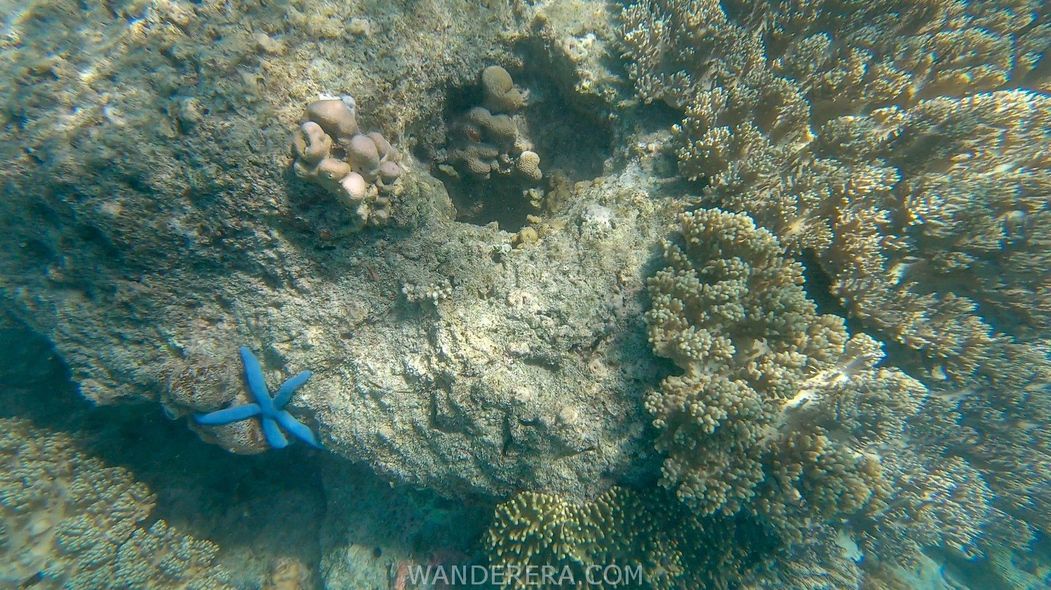 Tulapos Marine Sanctuary