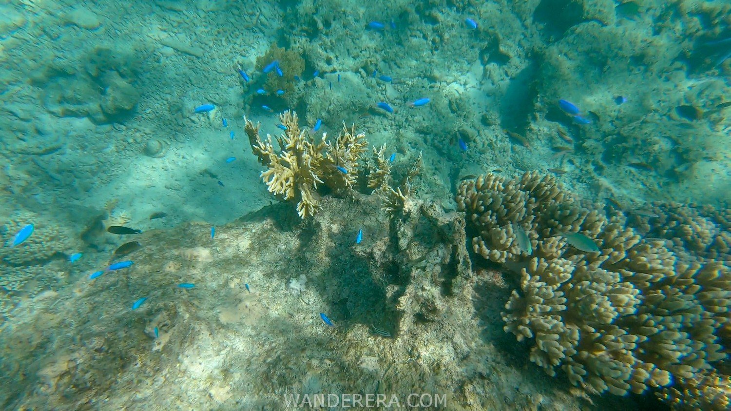 Tulapos Marine Sanctuary