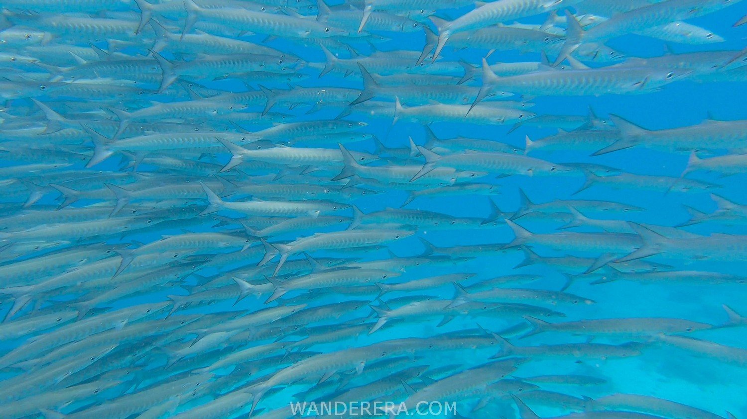 Tulapos Marine Sanctuary