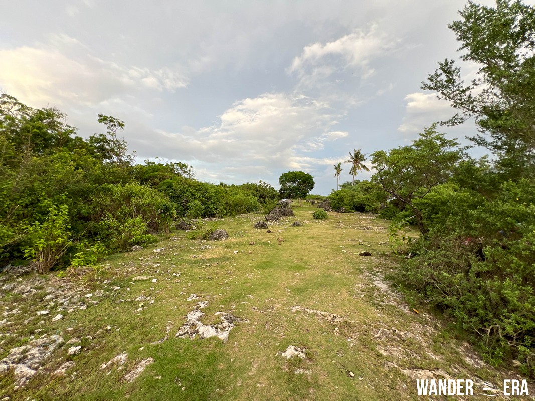 Paradise campsite