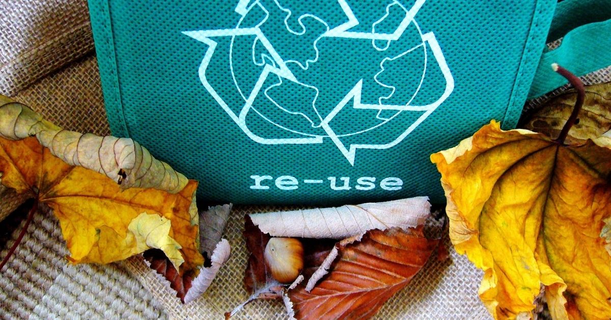 environmentally conscious trips