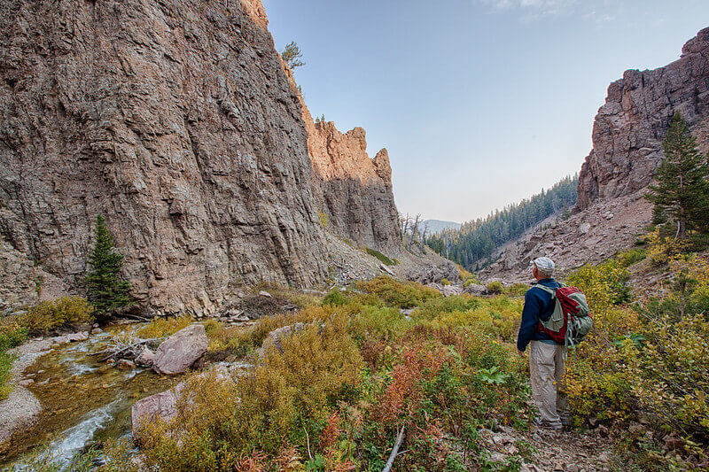 Camp in the Backcountry