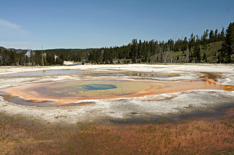 Upper Geyser Basin
