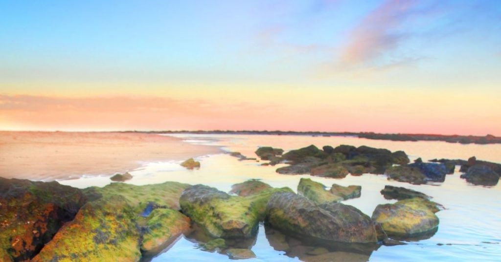 Toowoon Bay