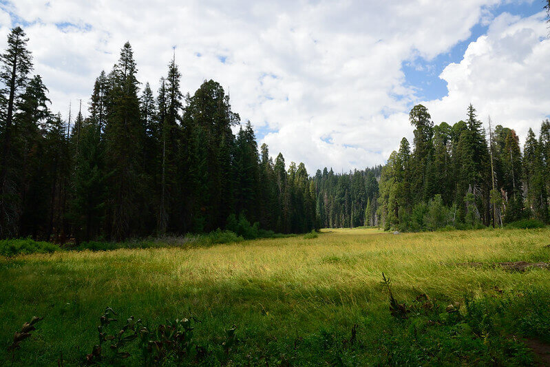 Crescent Meadow