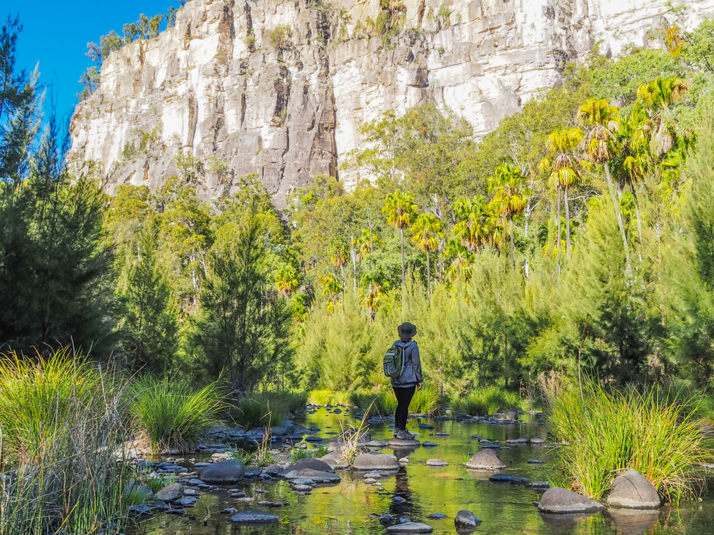 Carnarvon Gorge National Park