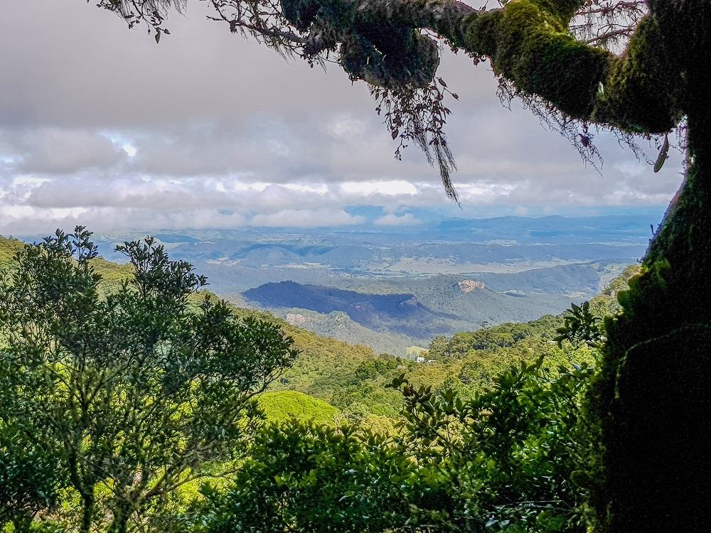 Lamington National Park