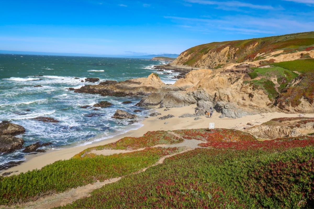California Coast Bodega Bay