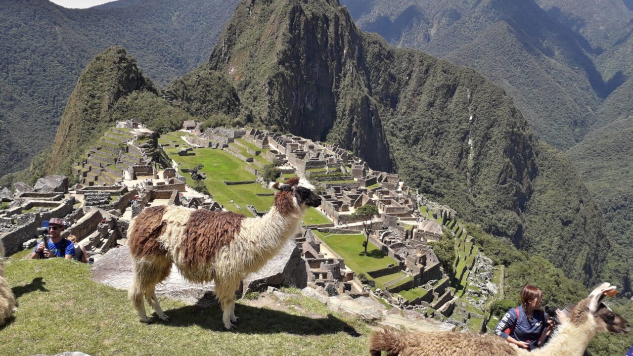 Machu Picchu