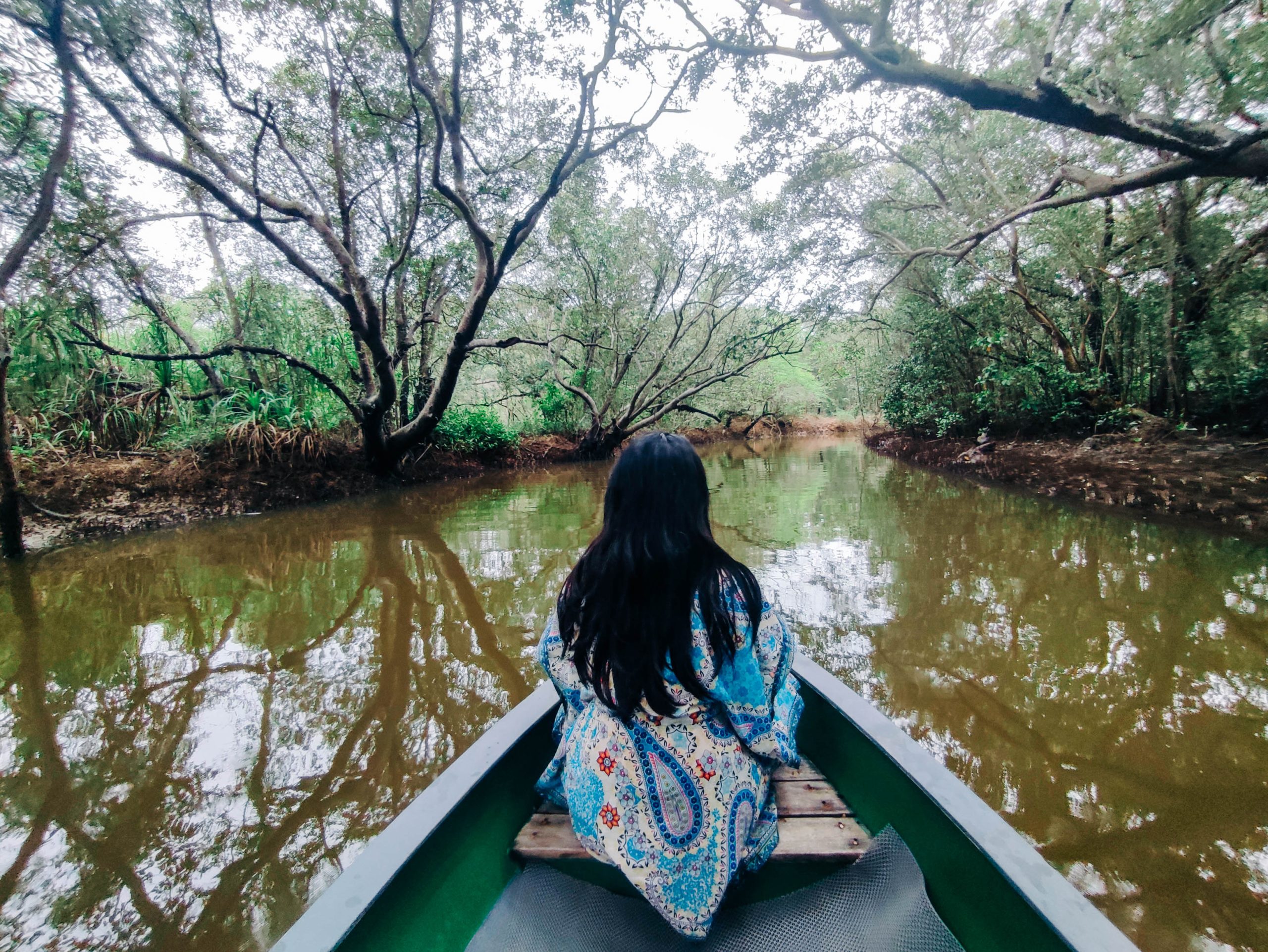 mangrove tour