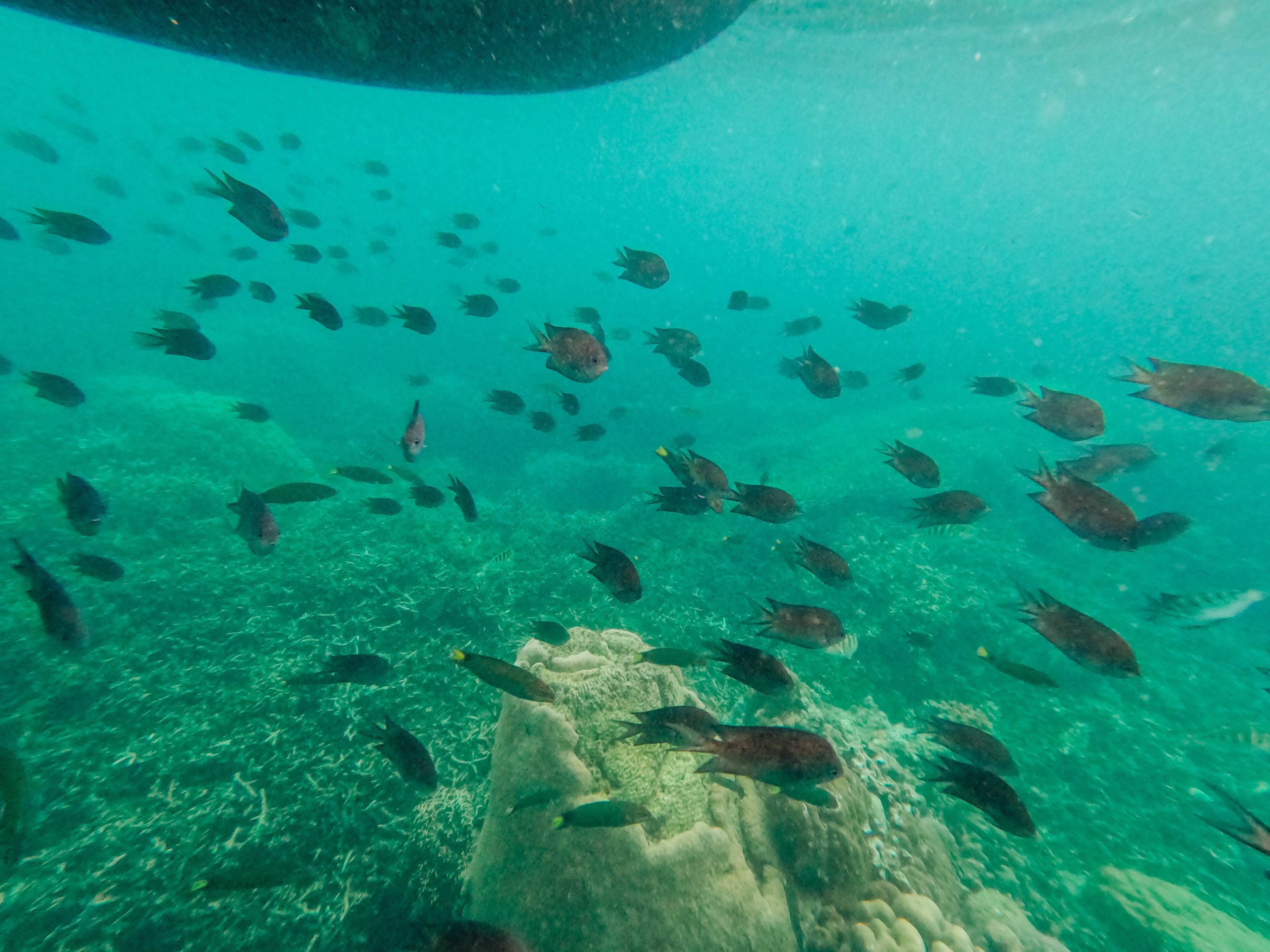 santelmo cove