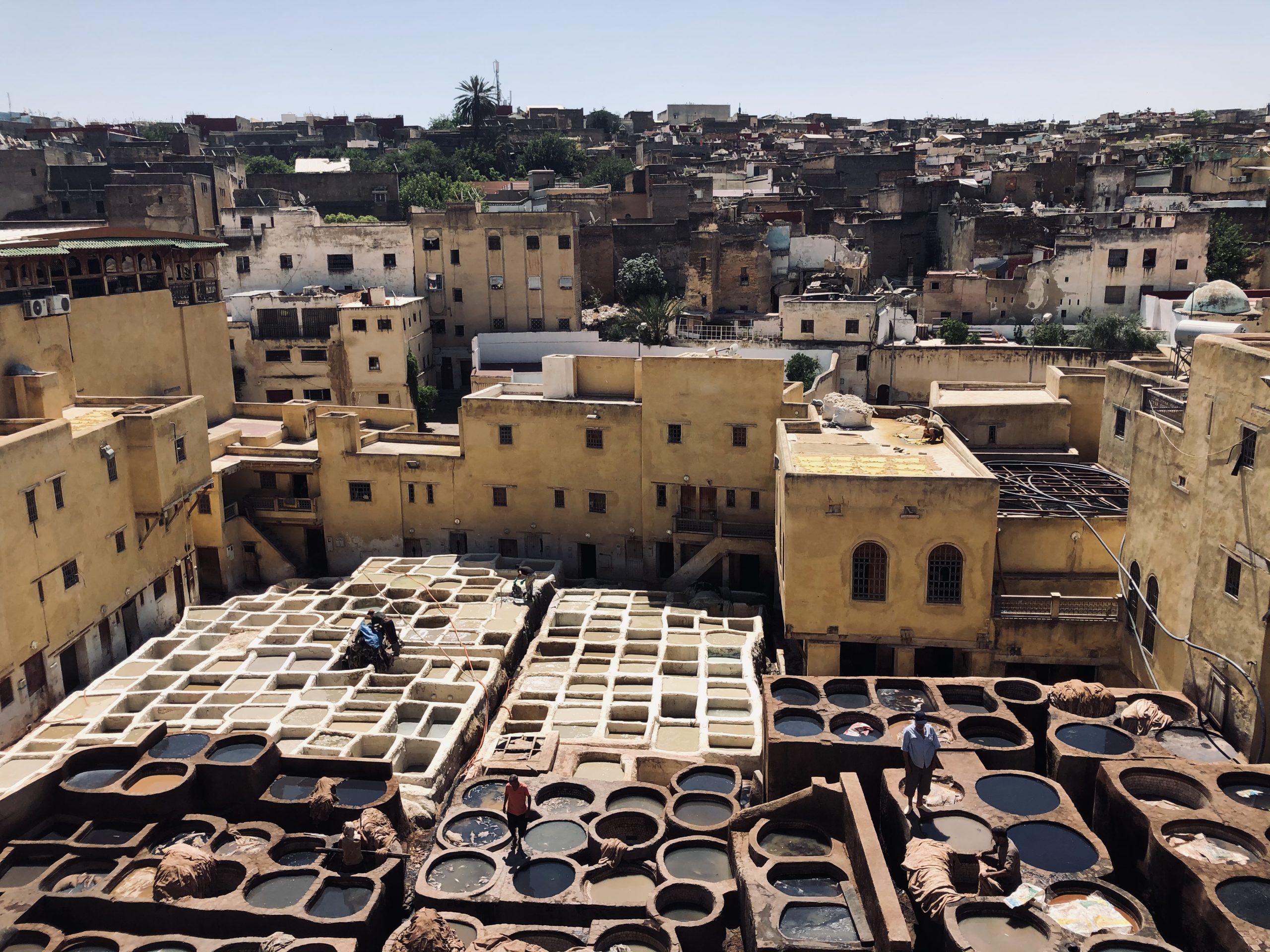 Fez tanneries