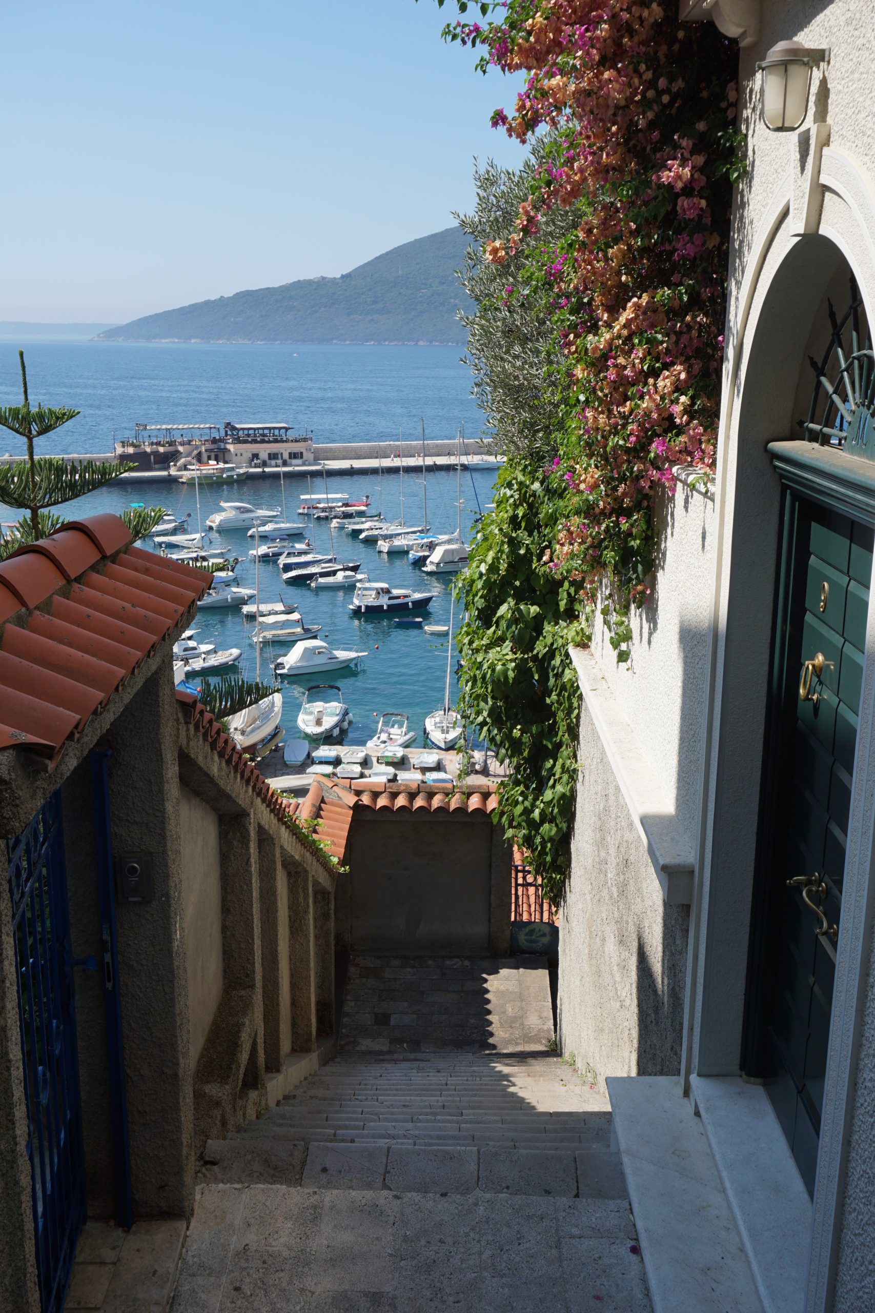Herceg Novi