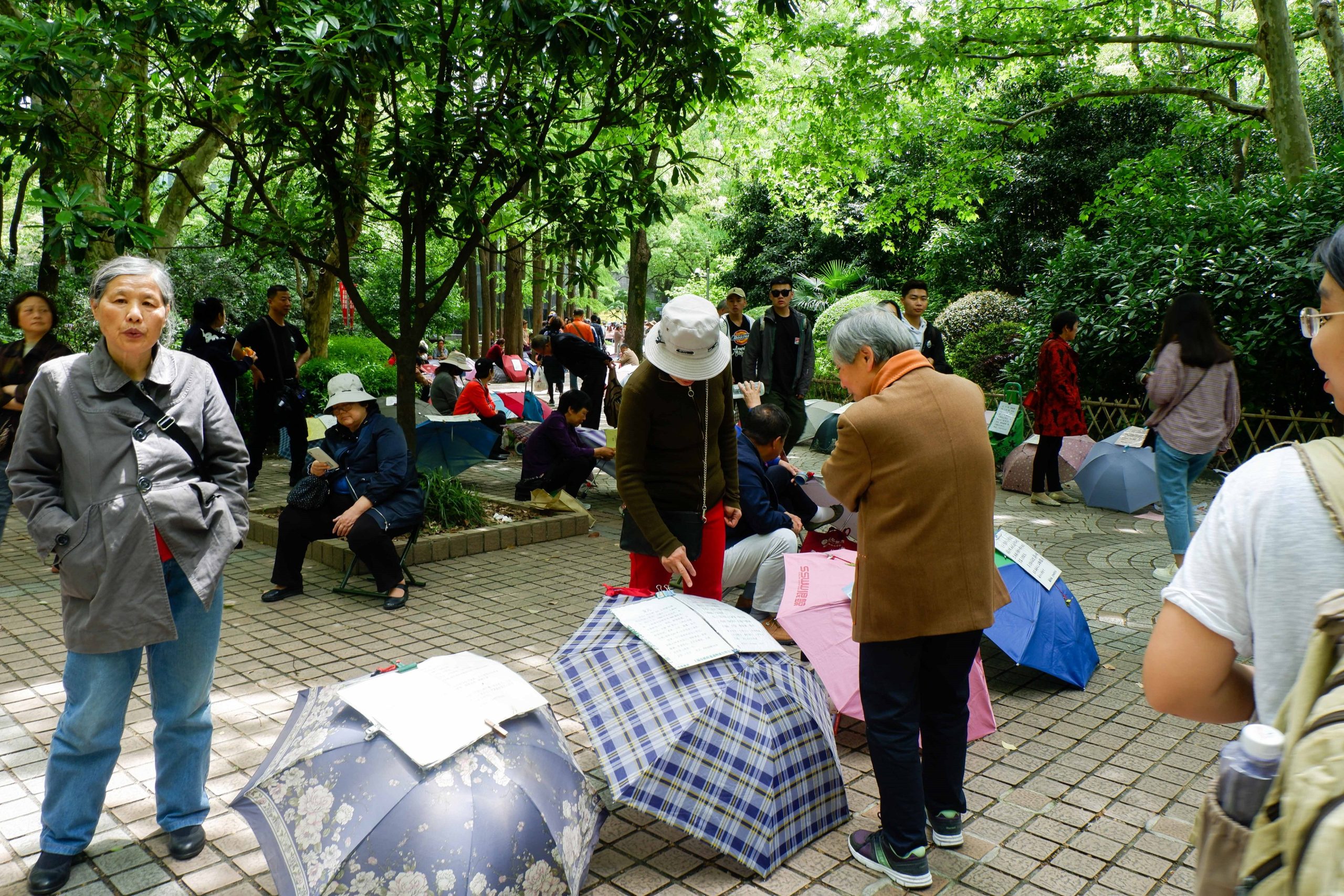 Marriage Market