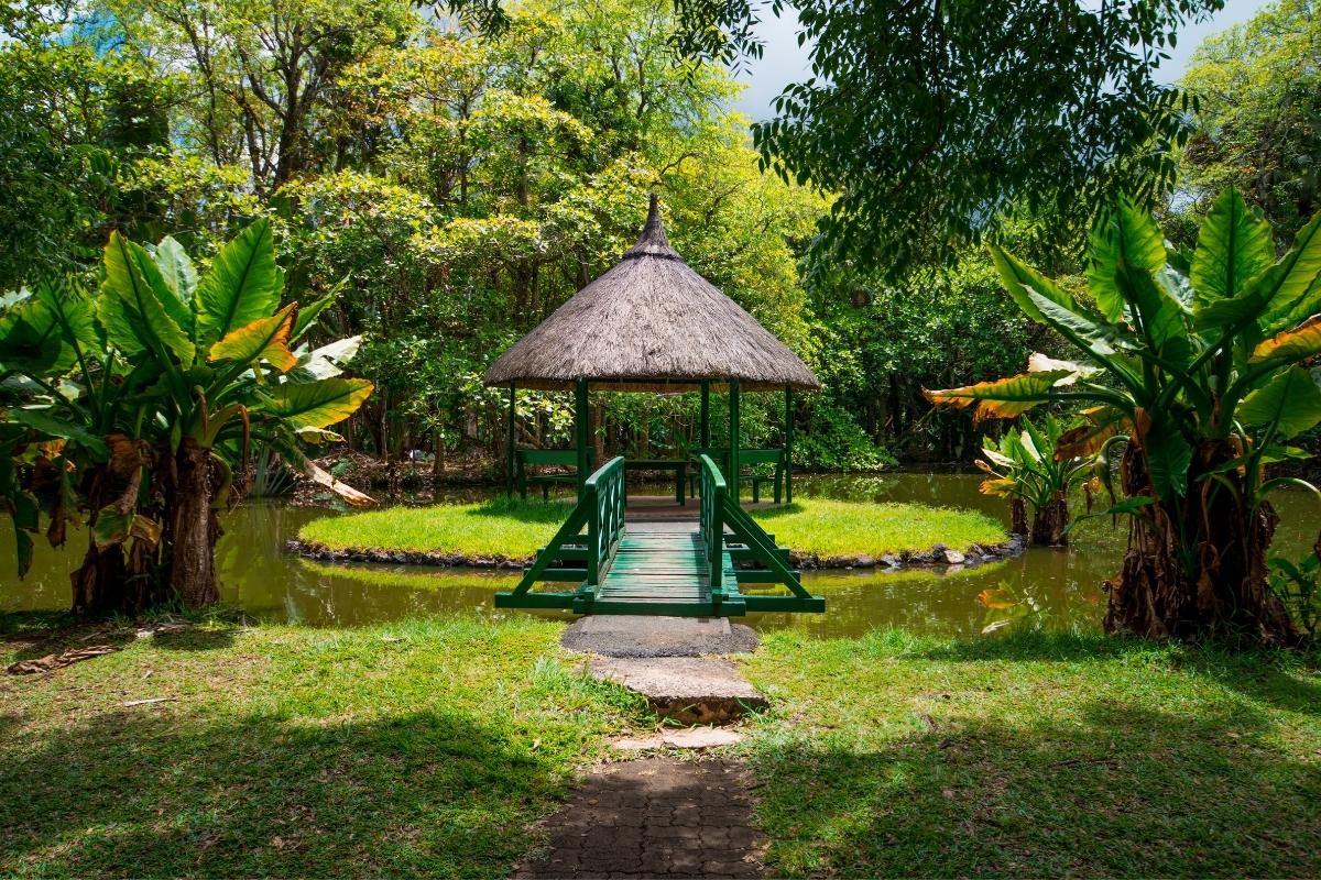 Pamplemousses Botanic Garden mauritius