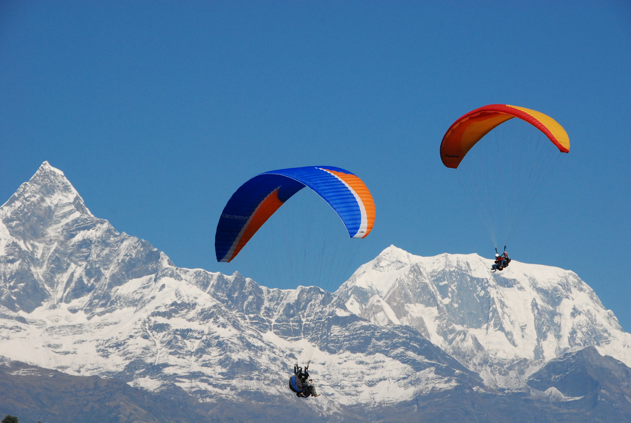 Paragliding - Sarangkot