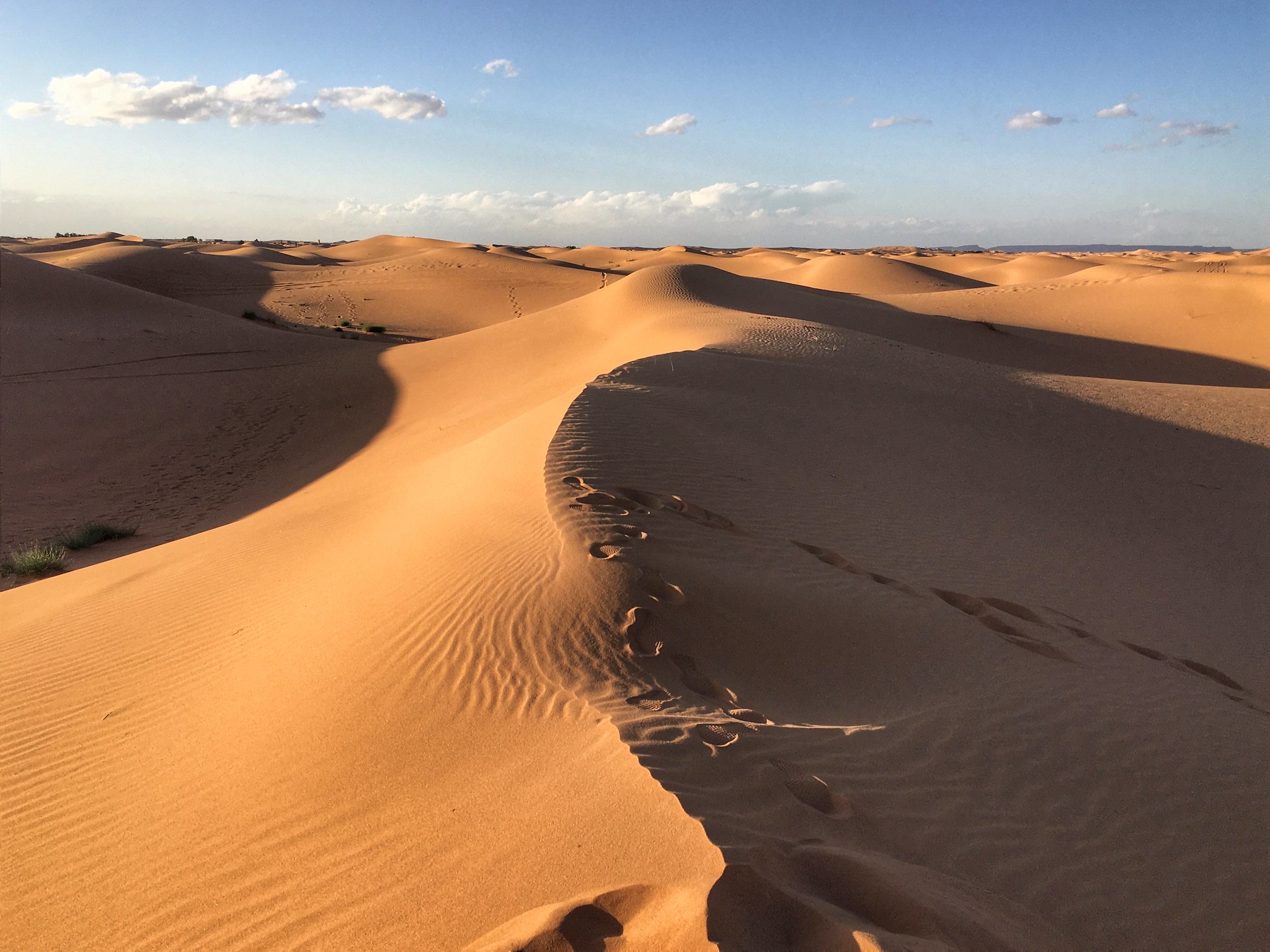Sahara Desert