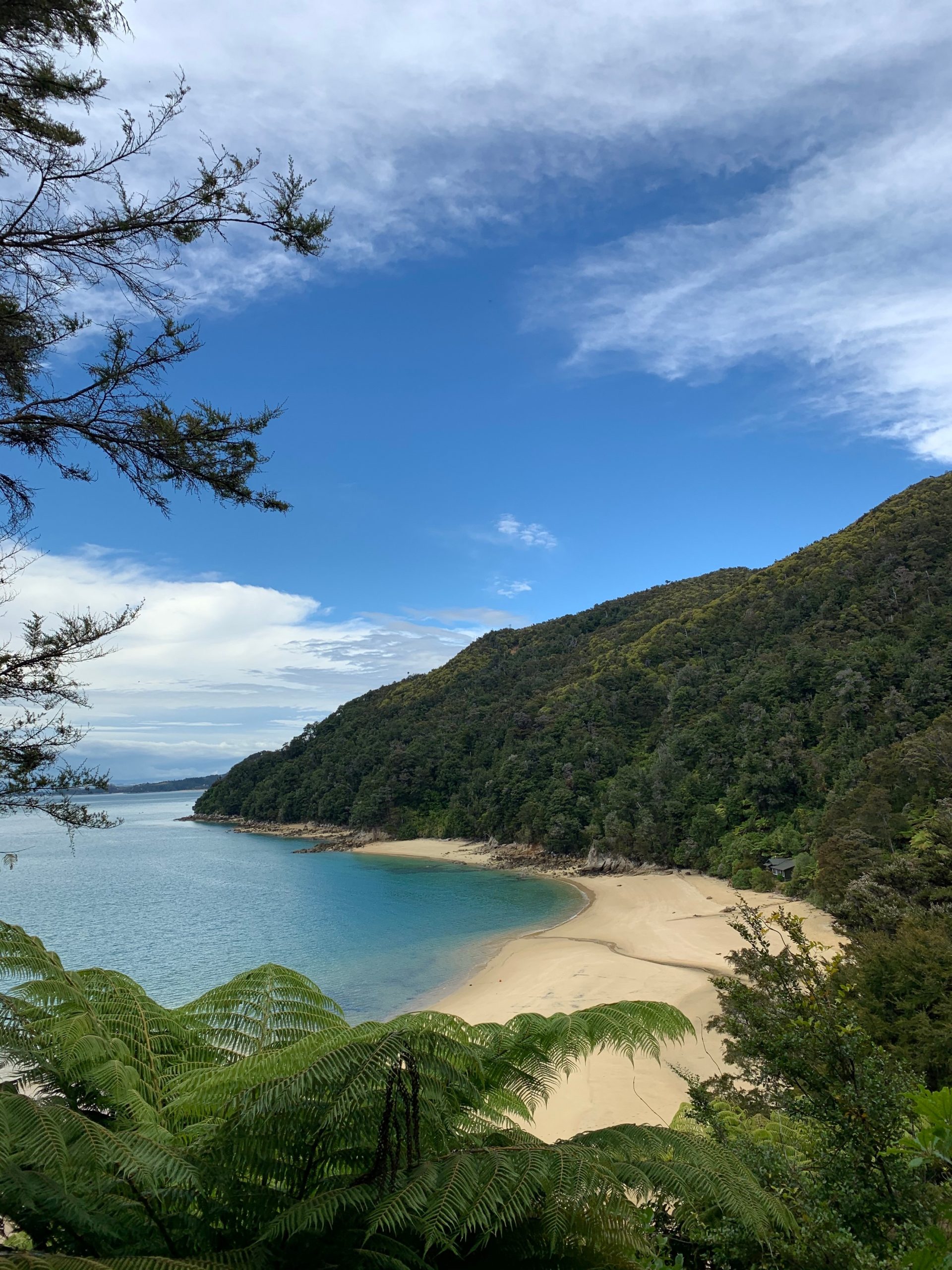 Abel Tasman