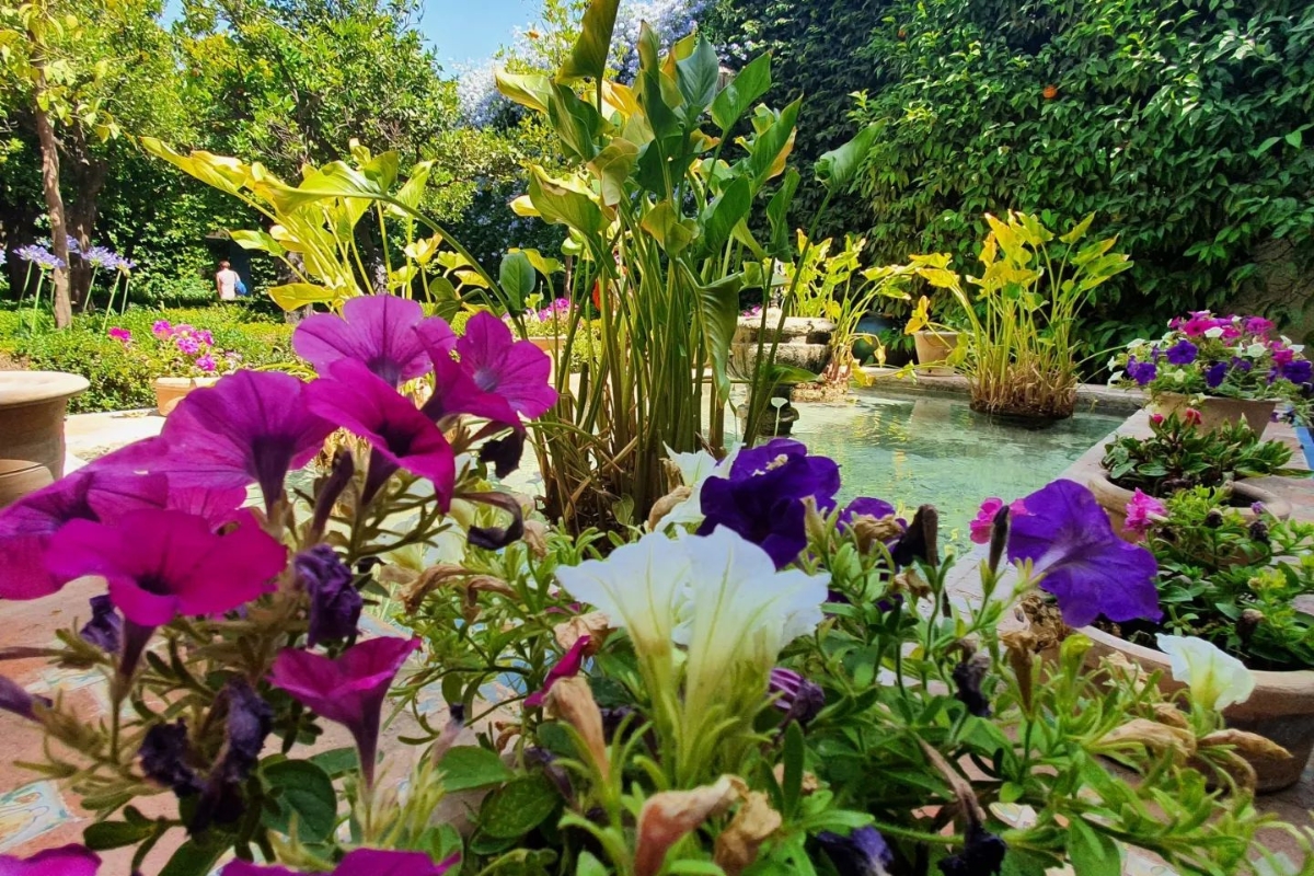 Palace Garden