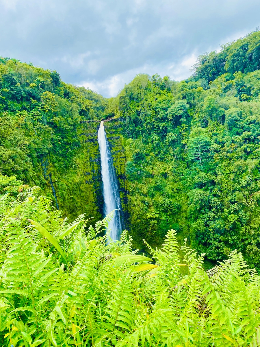 Akaka Falls Big Island