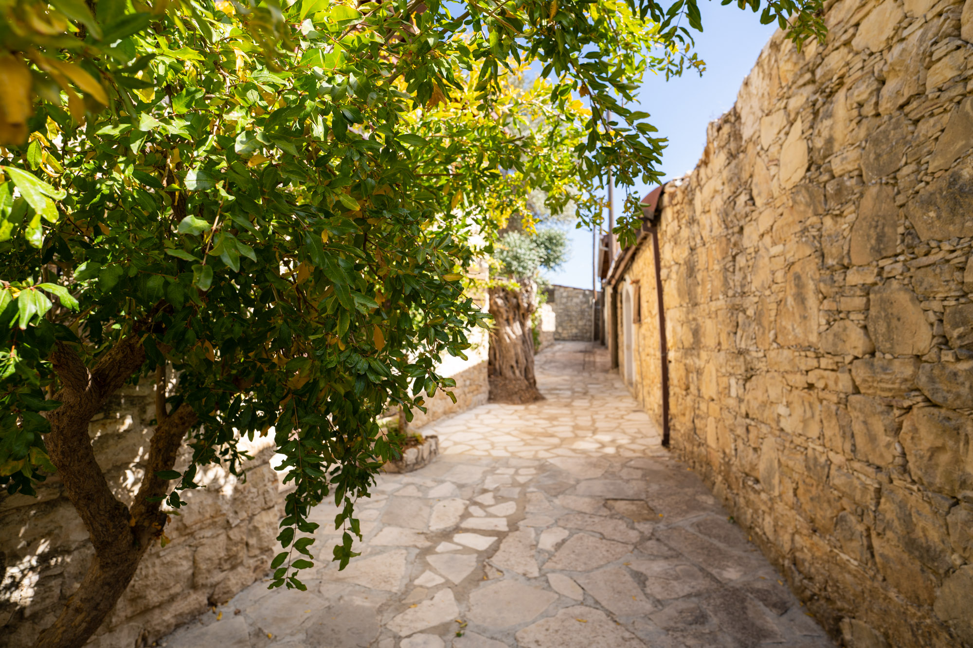 Cyprus Troodos Village