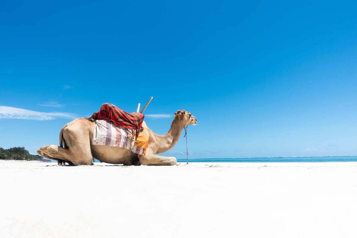 Diani Beach