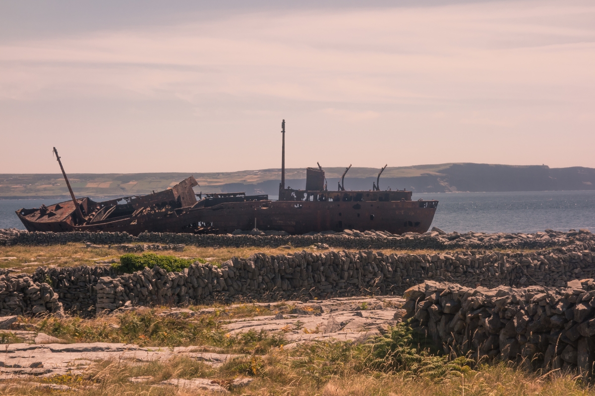 Plassey Shipwreck