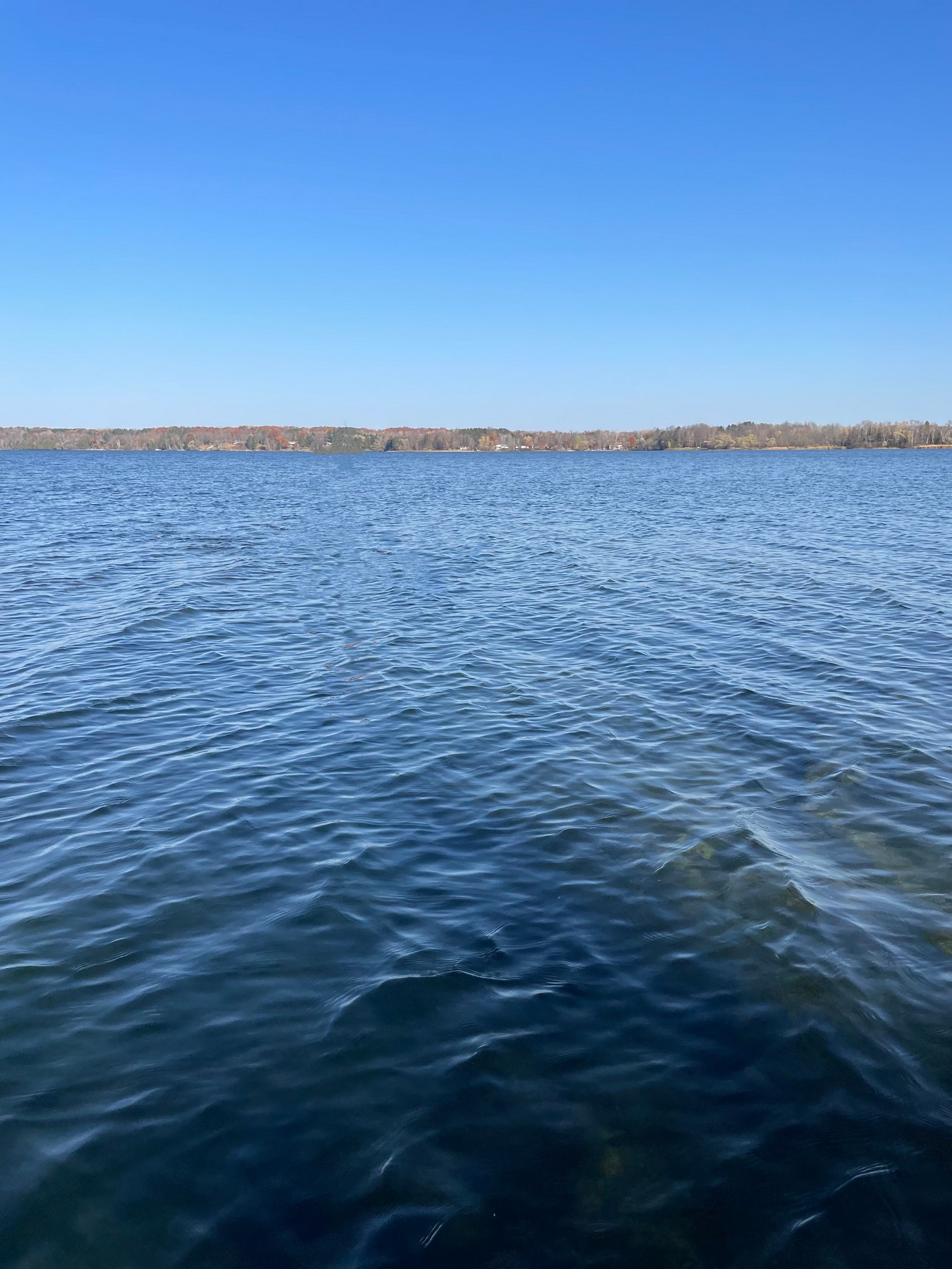 Detroit Lakes