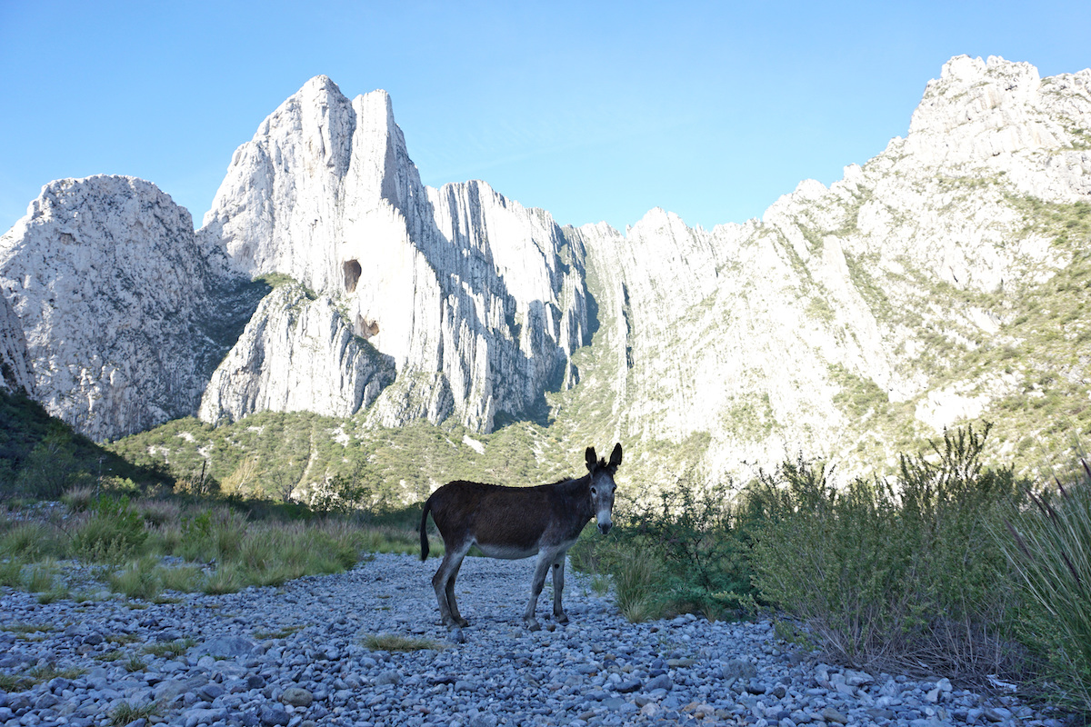 La Huasteca