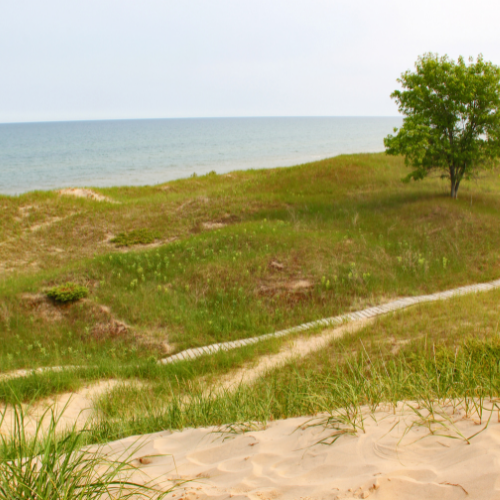 Kohler-Andrae State Park