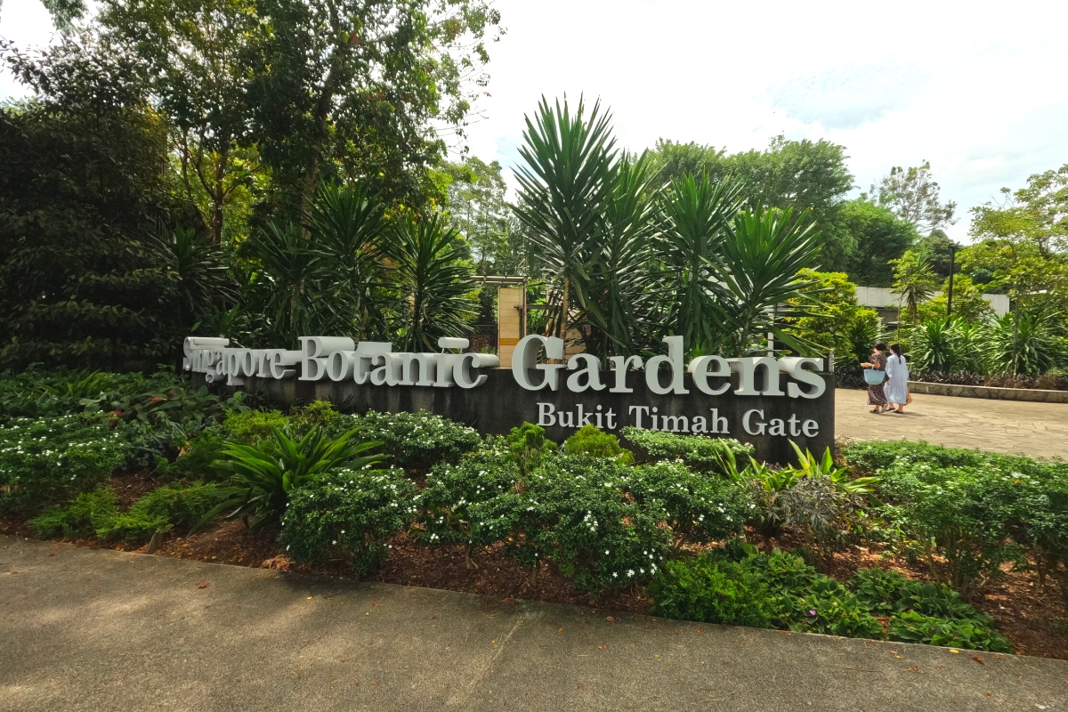 Singapore botanic gardens