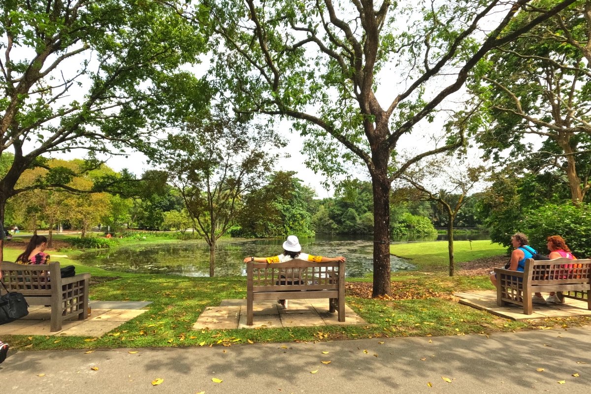 Singapore Botanic Garden