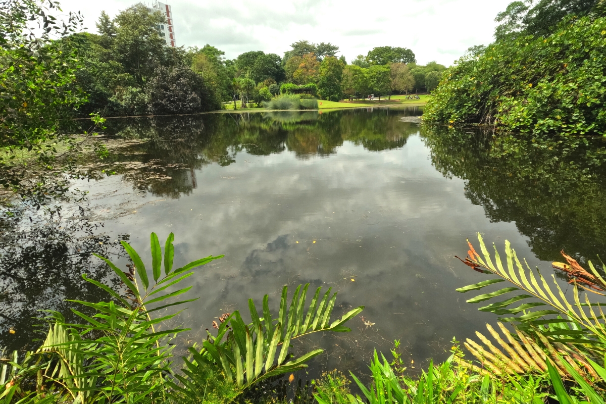 Singapore Botanical Gardens