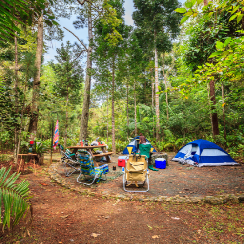 Whistle Stop Campsite
