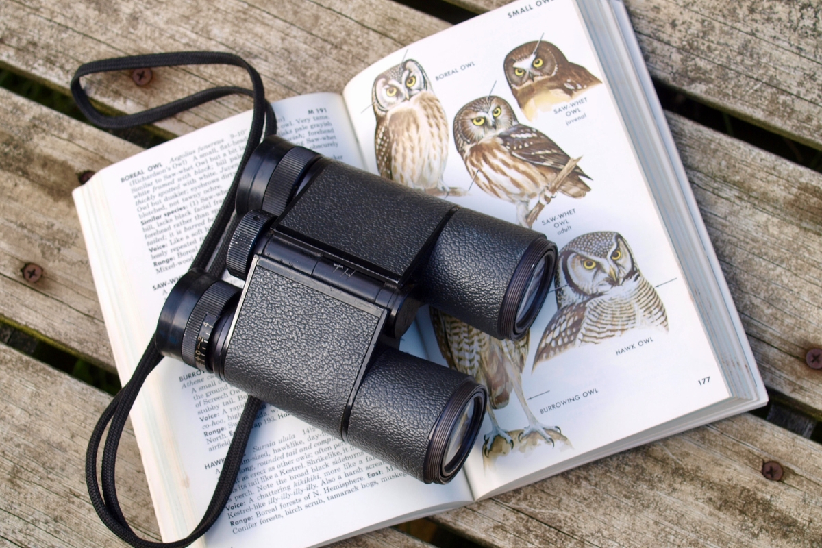 Birding Hotspots
