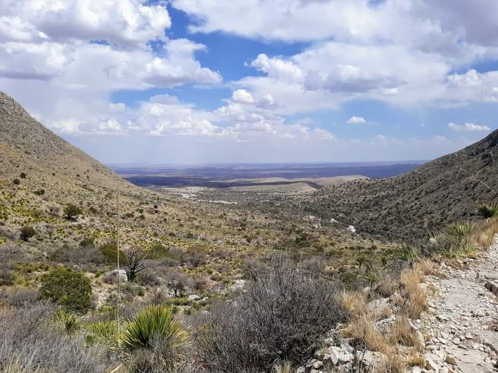 Guadalupe mountains