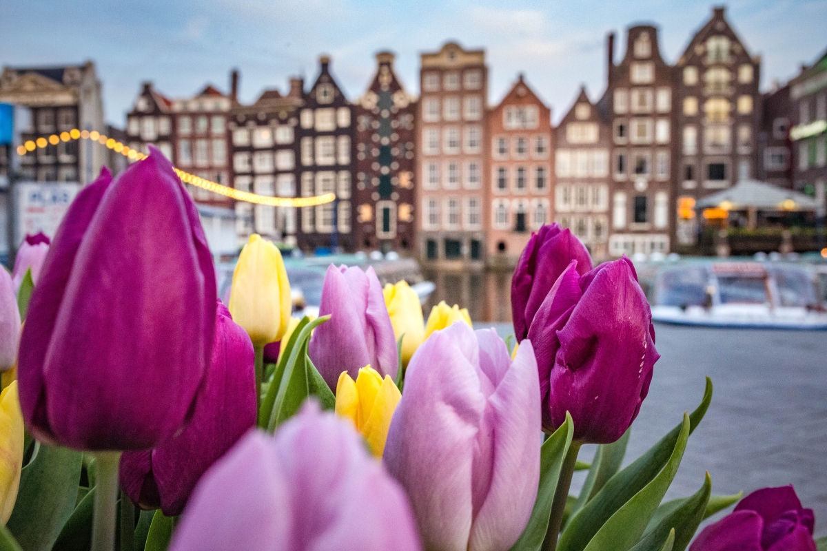 what is amsterdam famous for