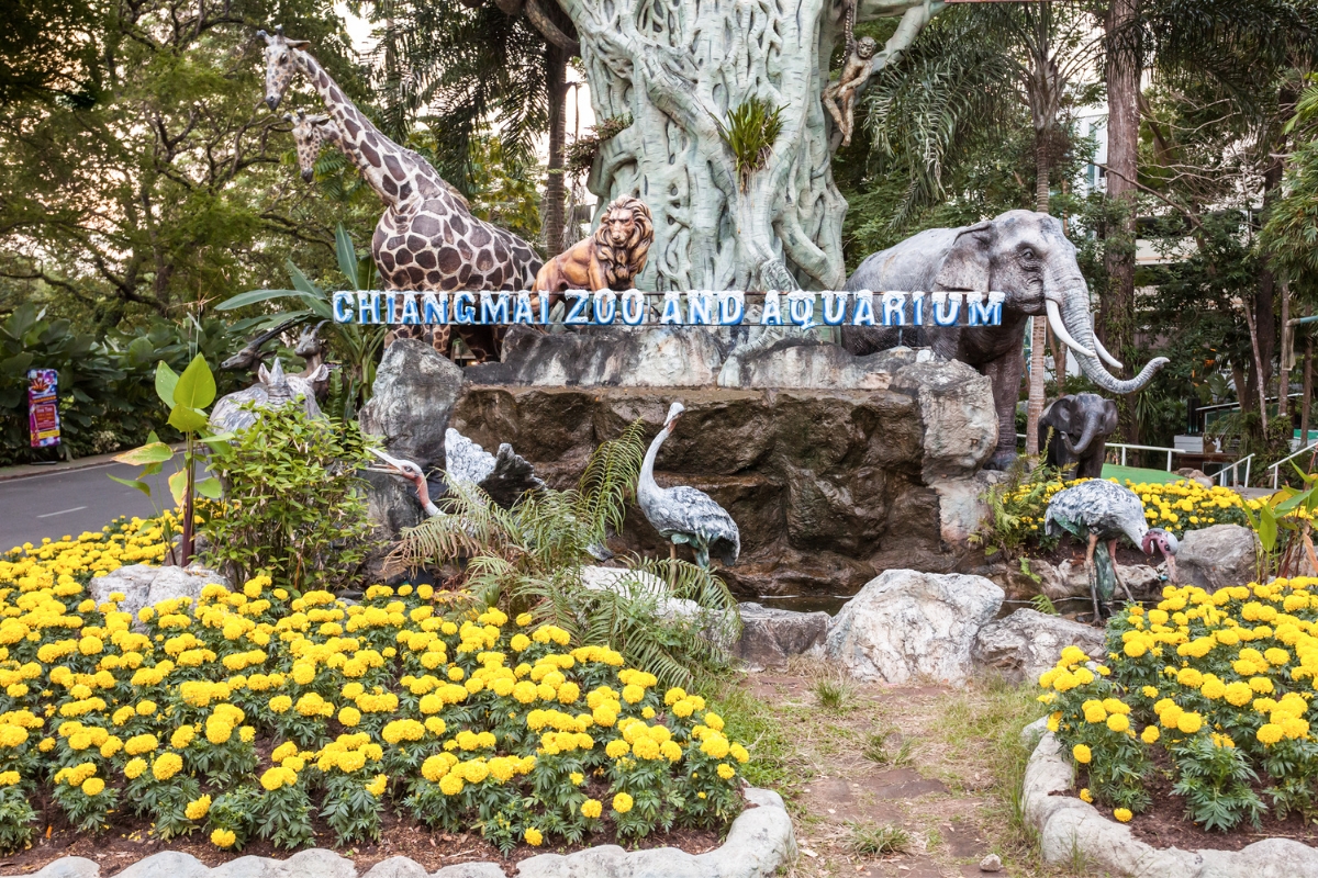 Chiang Mai Zoo