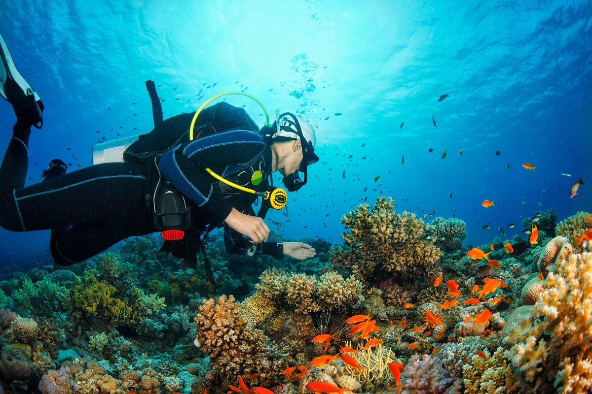 Scuba Diving Maui
