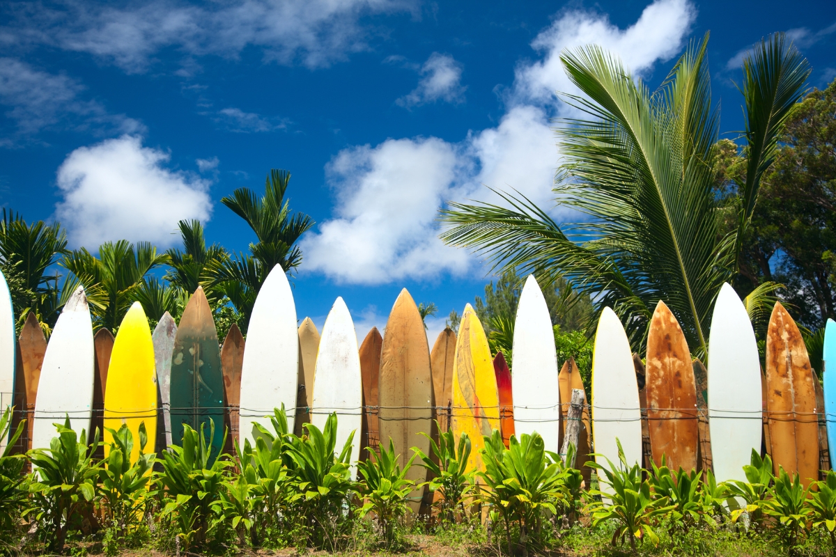 Surfing in maui