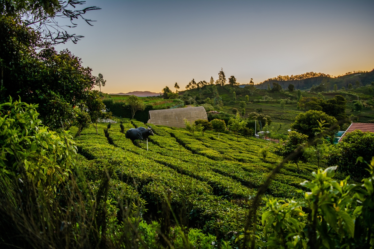 Tamil Nadu for Ooty