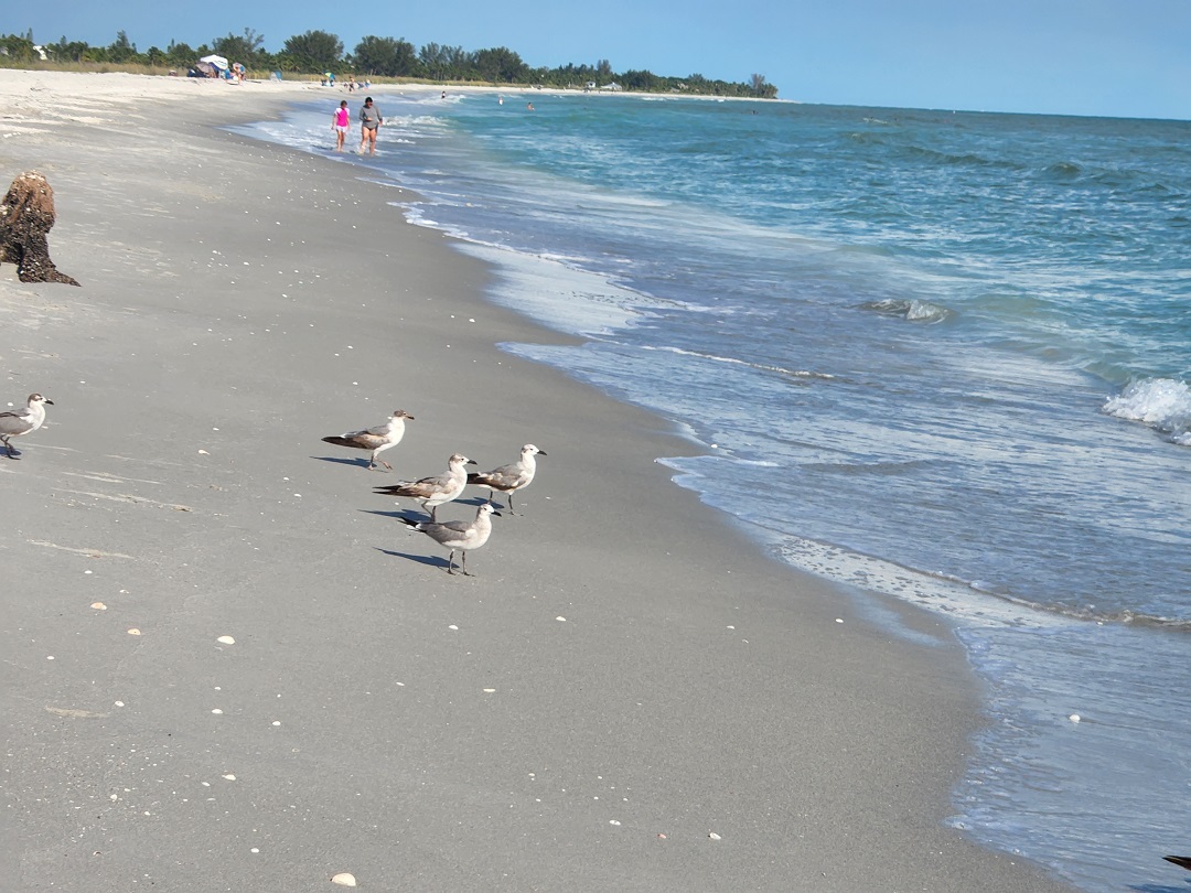 Fort Myers