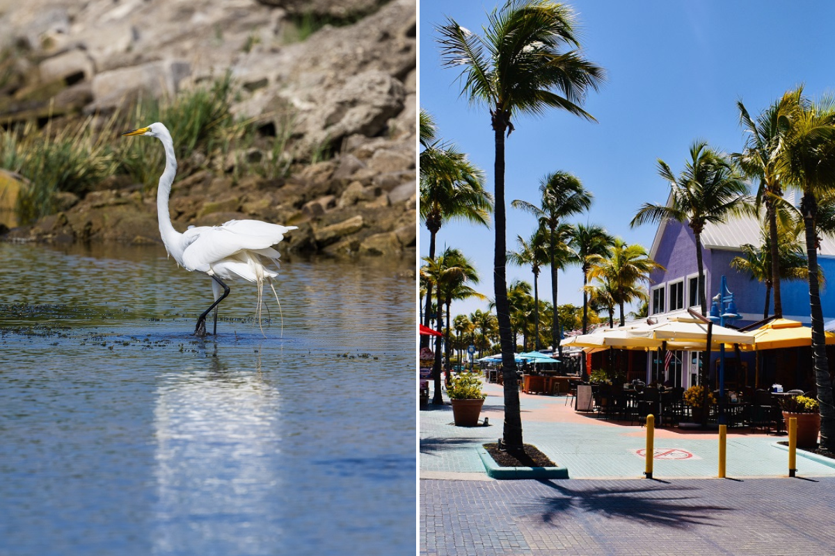 Free Things to Do in Fort Myers This Weekend